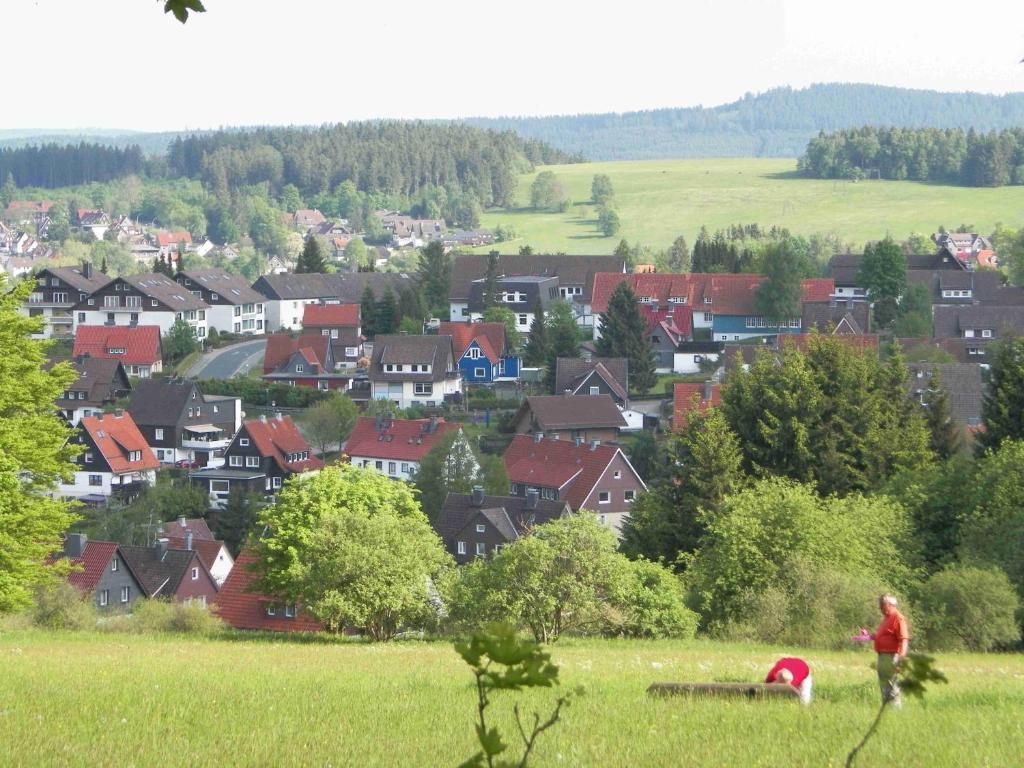 Landhaus Irmgard Braunlage Eksteriør bilde